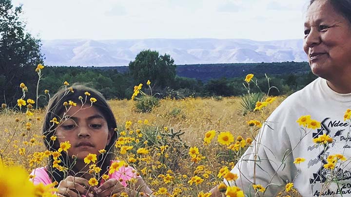 An older Apache woman and a young Apache girl sit in a field of yellow flowers