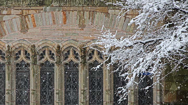 Photograph of facade of Sterling showing tops of gothic style windows with snow-covered branches to the right framing the edge of the photo