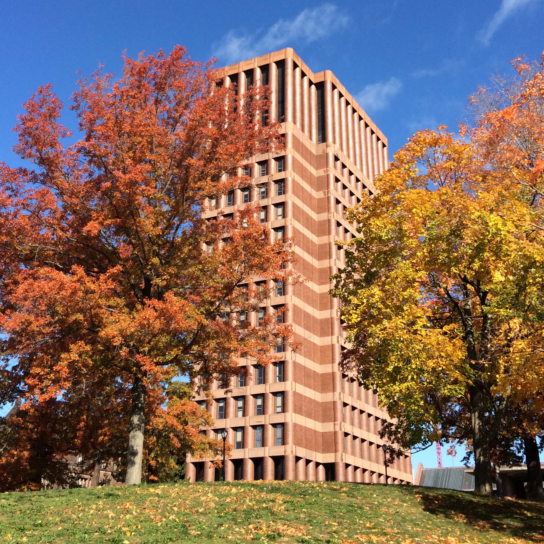 Exterior of Marx Library tower, links to Marx Library website