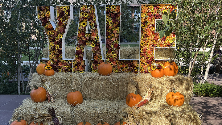 Display of pumpkins on haystacks with large letters spelling YALE filled with orange and yellow flowers
