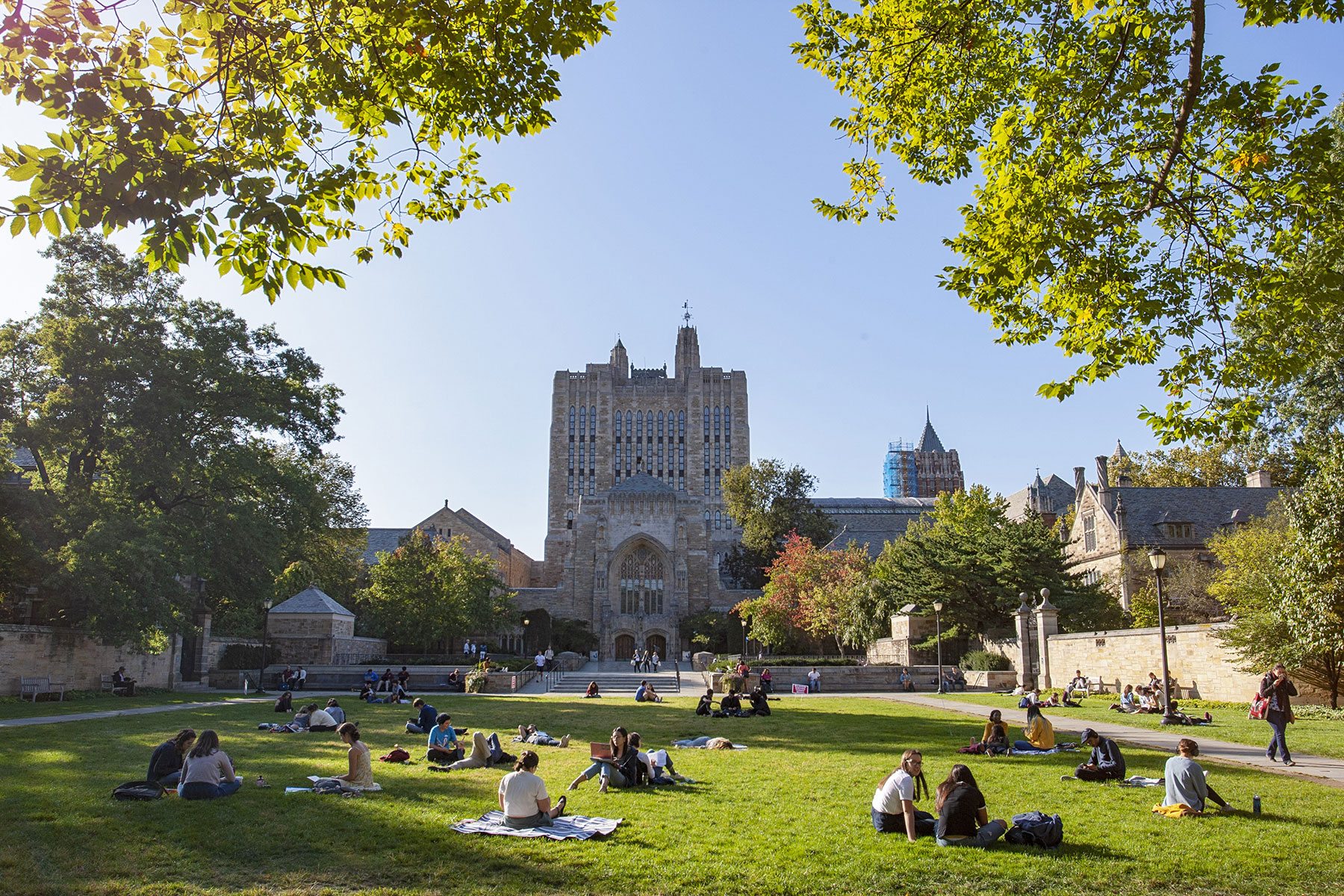 Exterior of Sterling Memorial Library with students sitting on the green grass and trees overhead