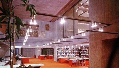 high-ceiled room with rectangle of suspended lights at half-level, orange carpets and desks. Shelves of books in alcove at right, student reading on couch at left with large green plant in foreground