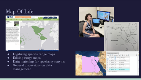 Screenshot that shows photo of Rachel Wessel at computer and three maps from her project Map of Life